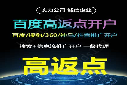 SEO技术突破：某网站流量暴增的背后故事
