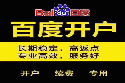 百度广告投放策略：成功案例解析